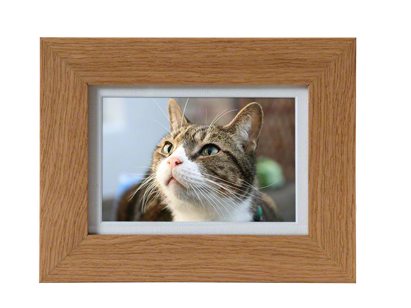 Timber oak pet memorial photo frame